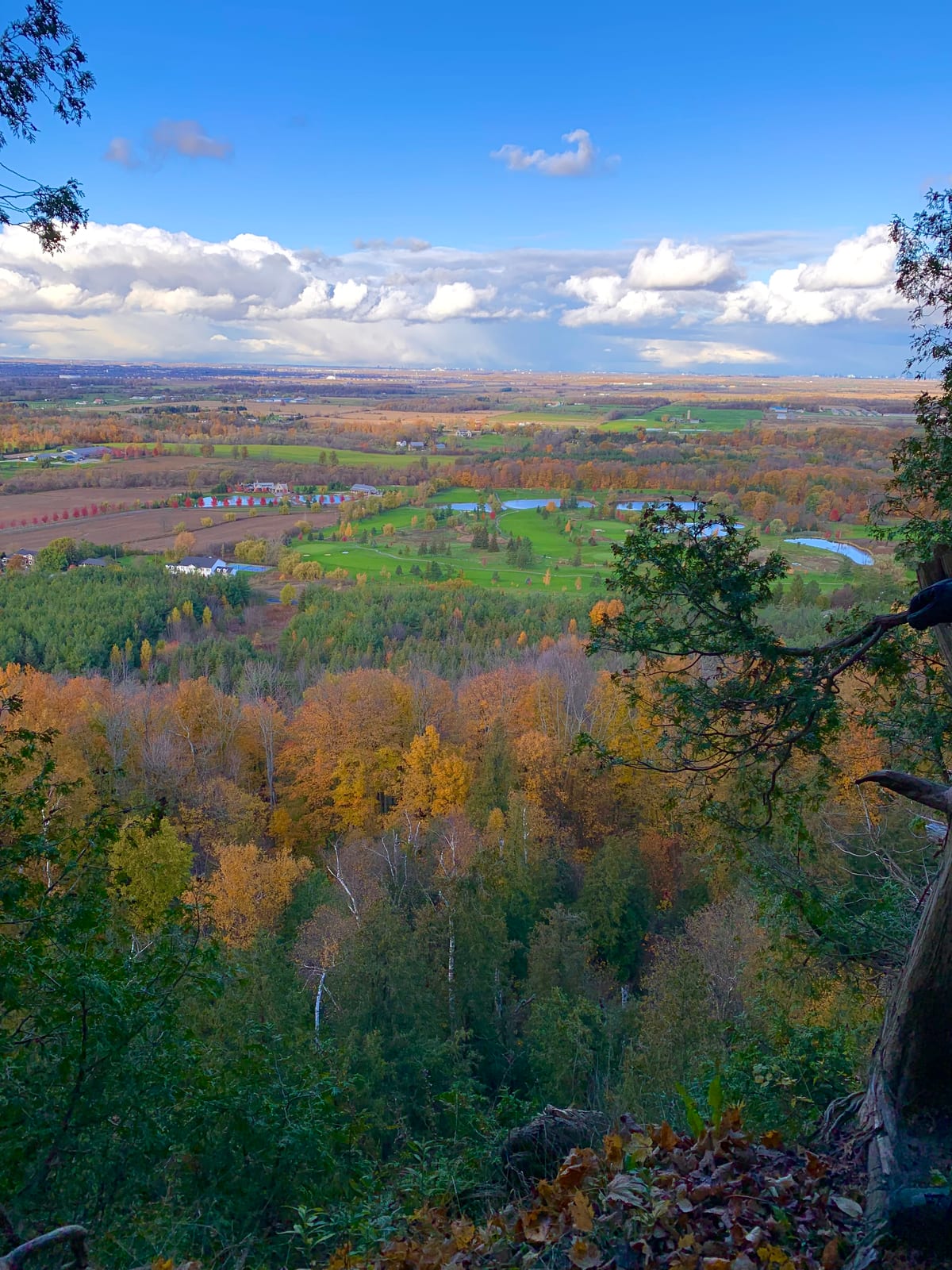 A view from the cliffs at Rattlesnake Point Conservation Area